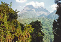 Ruwenzori