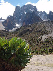 mt Kenya